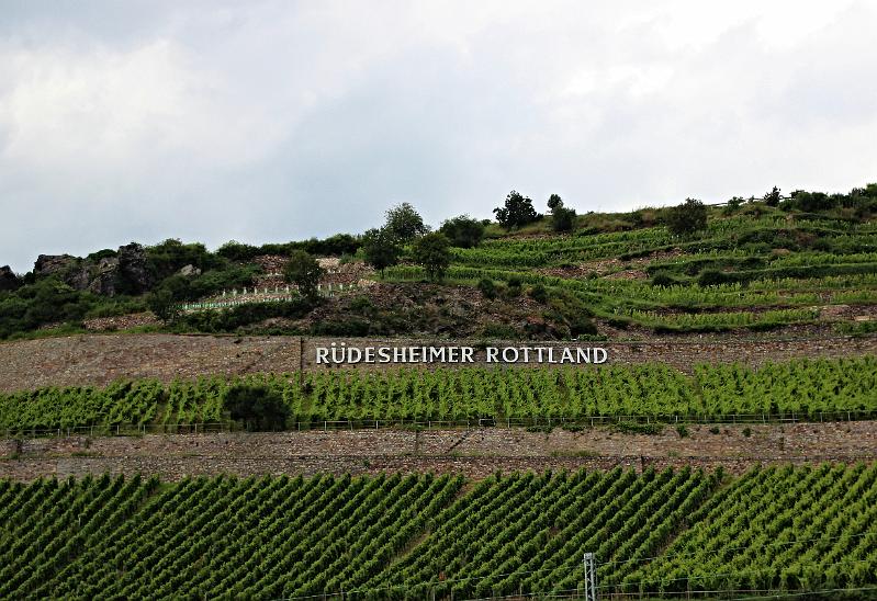 De Romantische Rijn - Dag 2 = 5-8-2016 (269).JPG